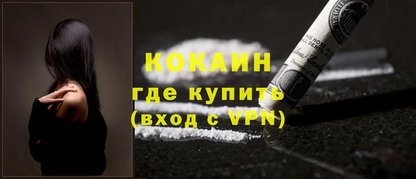 дмт Дмитриев