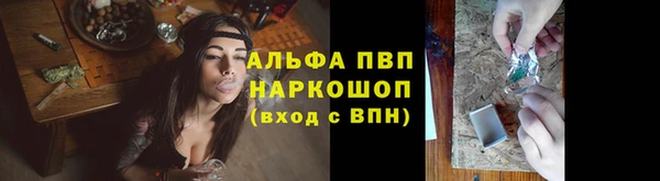 дмт Дмитриев