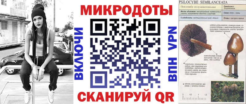 Псилоцибиновые грибы мухоморы Новоржев